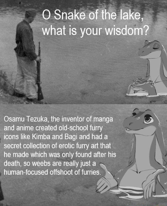 Furry School Porn - Osamu Tezuka, the inventor of manga 2 and anime created old-school furry q  icons like Kimba and Bagi and had a secret collection of erotic furry art  that he made which was