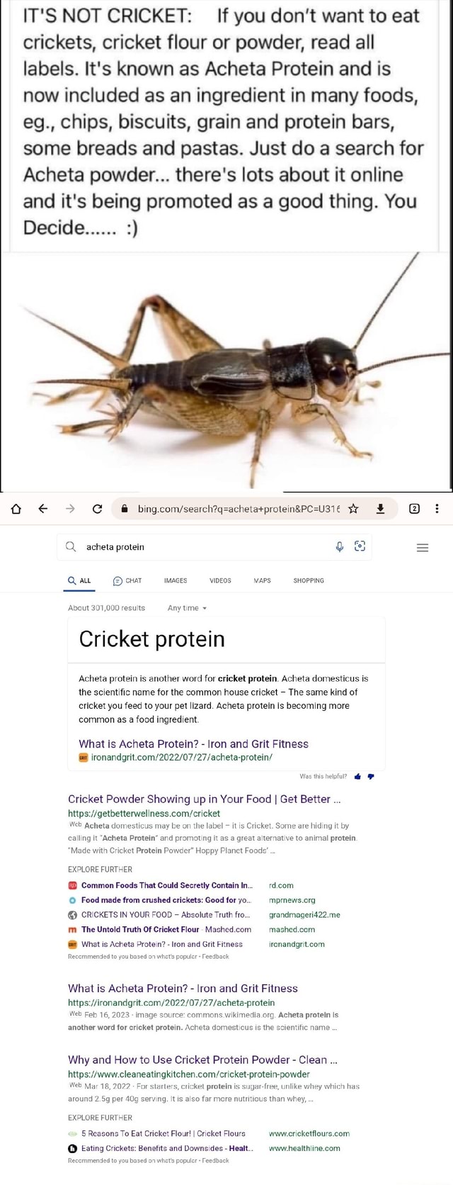 IT'S NOT CRICKET If you don't want to eat crickets, cricket flour or