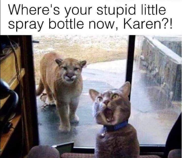 Wheres Your Stupid Little Spray Bottle Now Karen