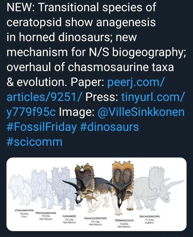 NEW: Transitional Species Of Ceratopsid Show Anagenesis In Horned ...