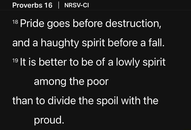 proverbs-16-i-nrsv-ci-8-pride-goes-before-destruction-and-a-haughty