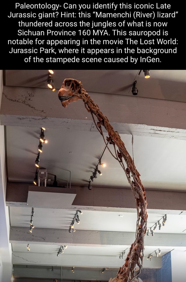 Paleontology- Can you identify this iconic Late Jurassic giant? Hint ...