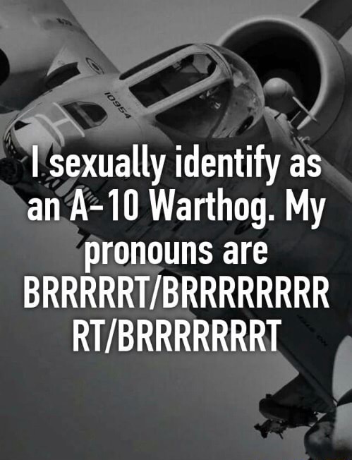 I sexually identify as an A-10 Warthog. My pronouns are BRR - iFunny