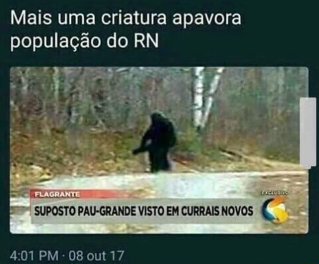 Mais Uma Criatura Apavora População Do Rn Suposto Pau Grande Visto Em Currais Novos Flagrante Pm