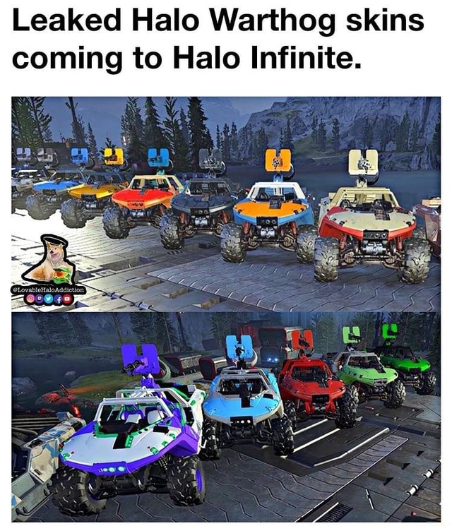 Leaked Halo Warthog skins coming to Halo Infinite. - iFunny