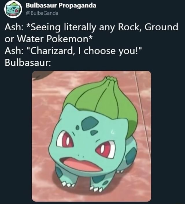 Bulbasaur Propaganda @EulbaGanda Ash: *Seeing literally any Rock ...