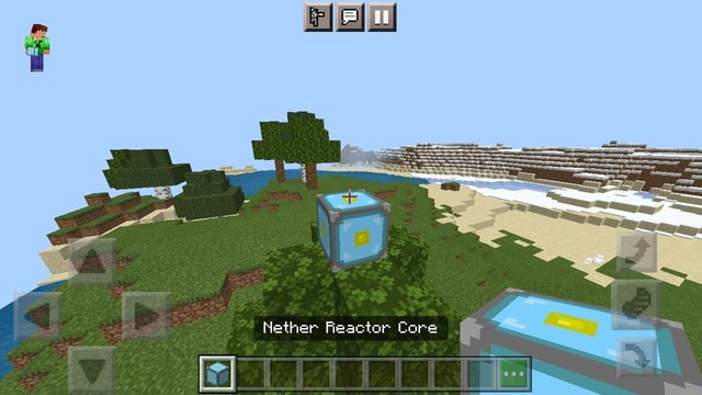 Nether Reactor Core