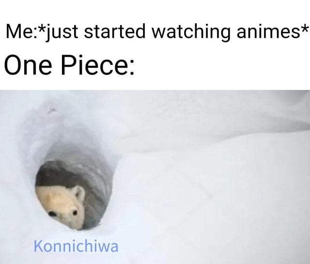 Started watching animes* One Piece: Konnichiwa - iFunny