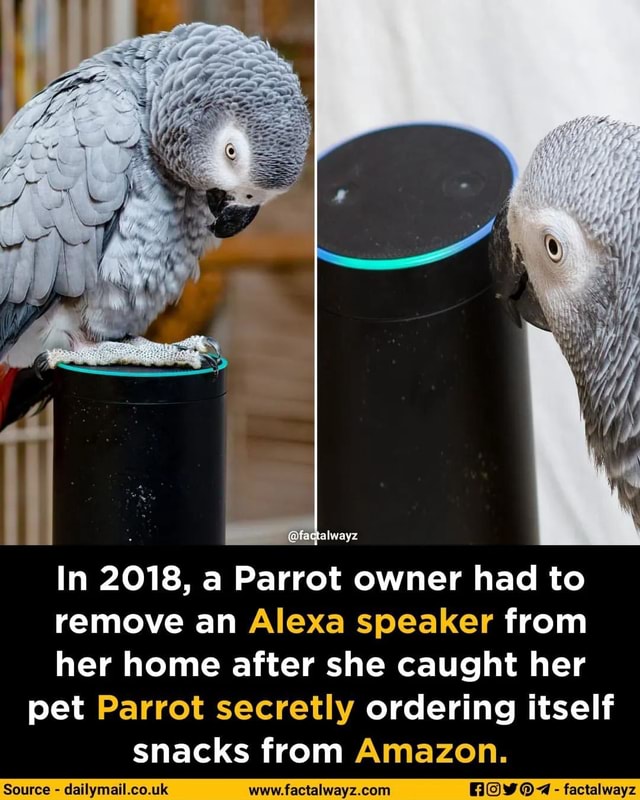 factalwayz In 2018, a Parrot owner had to remove an Alexa speaker from