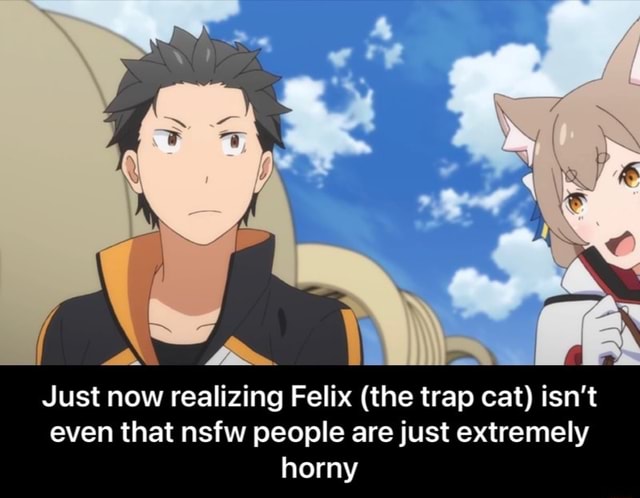 Just now realizing Felix (the trap cat) isn't even that nsfw people are  just extremely horny - Just now realizing Felix (the trap cat) isn't even  that nsfw people are just extremely