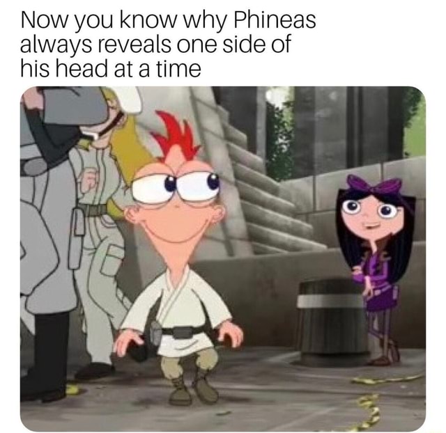 Now you know why Phineas always reveals one side of his head at a time ...