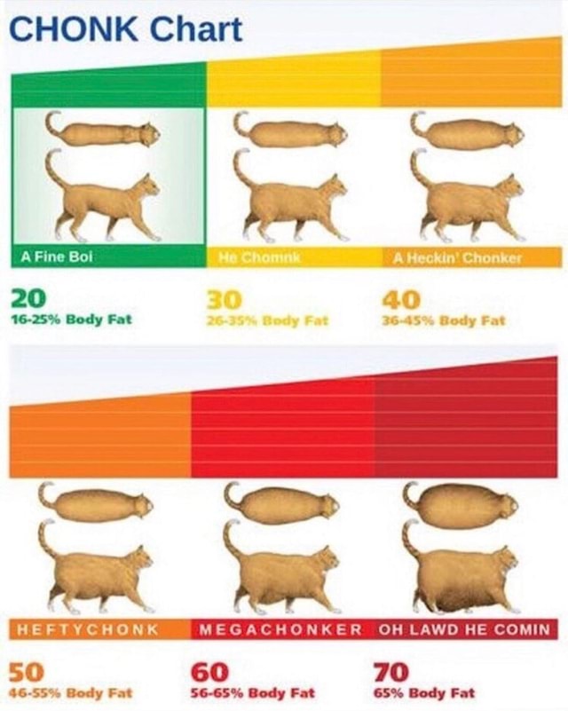 CHONK Chart Fine Bot Heckin' Chonker 40 3645 Body Fat HEFTYCHONK