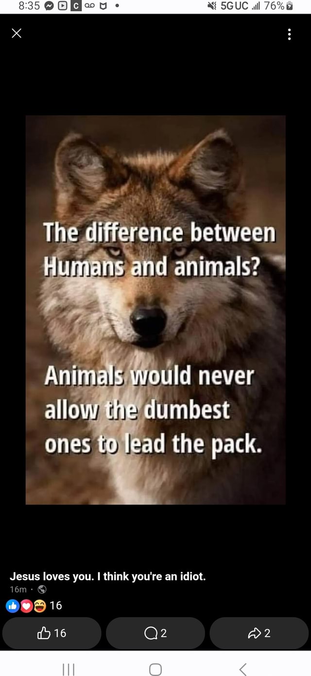 The Difference Between Humans And Animals Animals Would Never Allow The Difference Between Humans And Animals Animals Would Never Allow