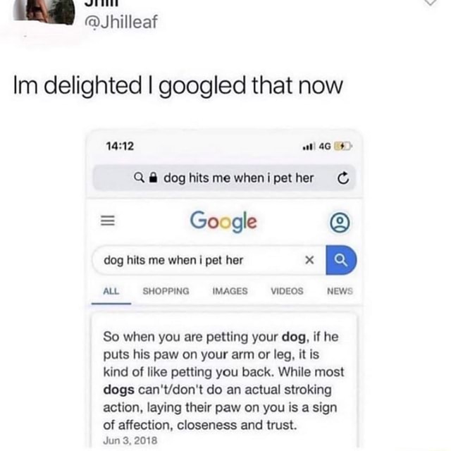 im-delighted-i-googled-that-now-q-doghitsmewhenipether-google-dog