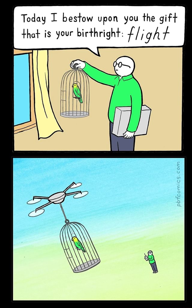 today-i-bestow-upon-you-the-gift-that-is-your-birthright-flight-ifunny