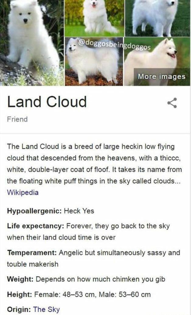 Hore images Land Cloud