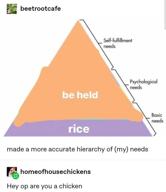 Beetrootcafe be held rice made a more accurate hierarchy of (my) needs