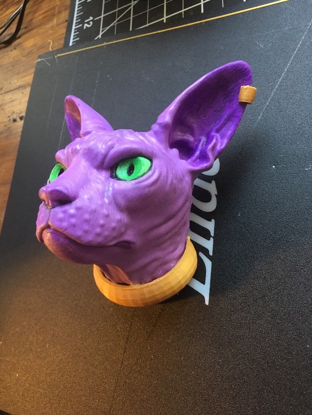 All Hail Lord Beerus, God of Destruction. DBZ. Printed on Ender3 in