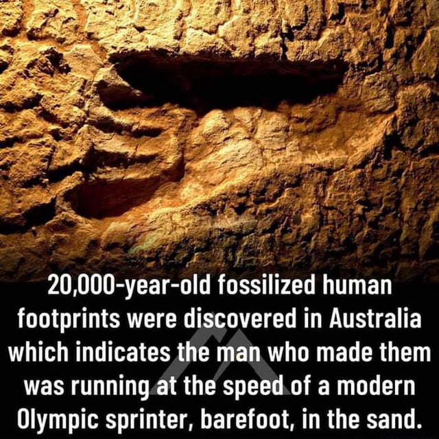 20,000yearold fossilized human footprints were discovered in Australia which indicates the man