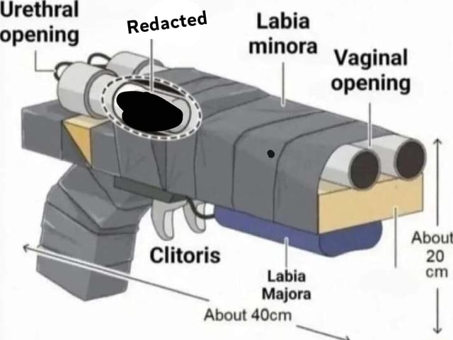 Urethral Ted Opening Redacted Labia Minora Vaginal Opening Ce Clitoris urethral-ted-opening-redacted-labia-minora-vaginal-opening-ce-clitoris