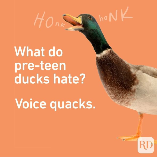 What do preteen ducks hate? Voice quacks. RD iFunny