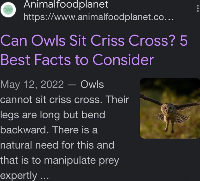 O Can Owls Sit Criss Cross? 5 Best Facts to Consider May 12, 2022 Owls cannot