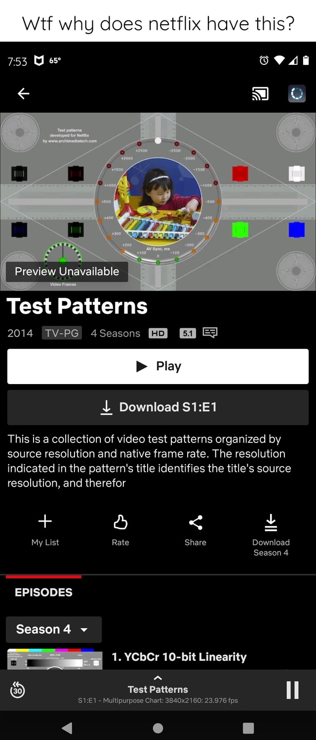Wtf why does netflix have this? 753 os Preview Unavailable Test ...