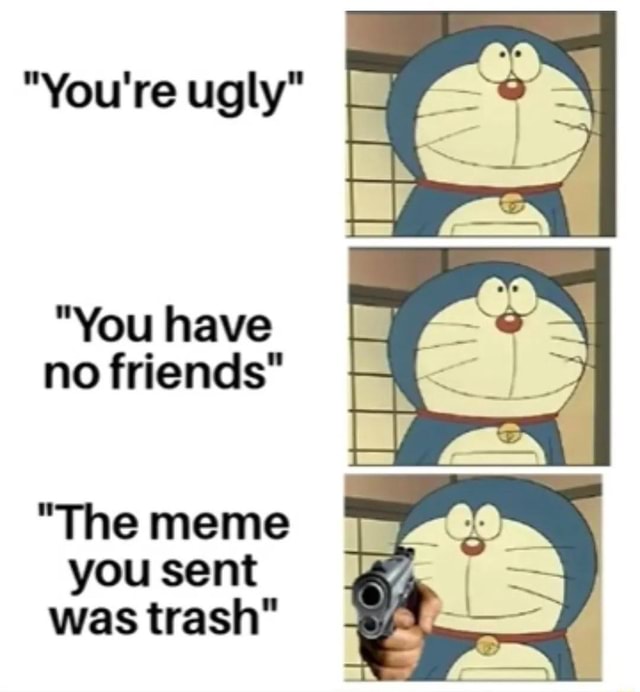 "You're ugly" "You have no friends" "The meme you sent was trash" - iFunny