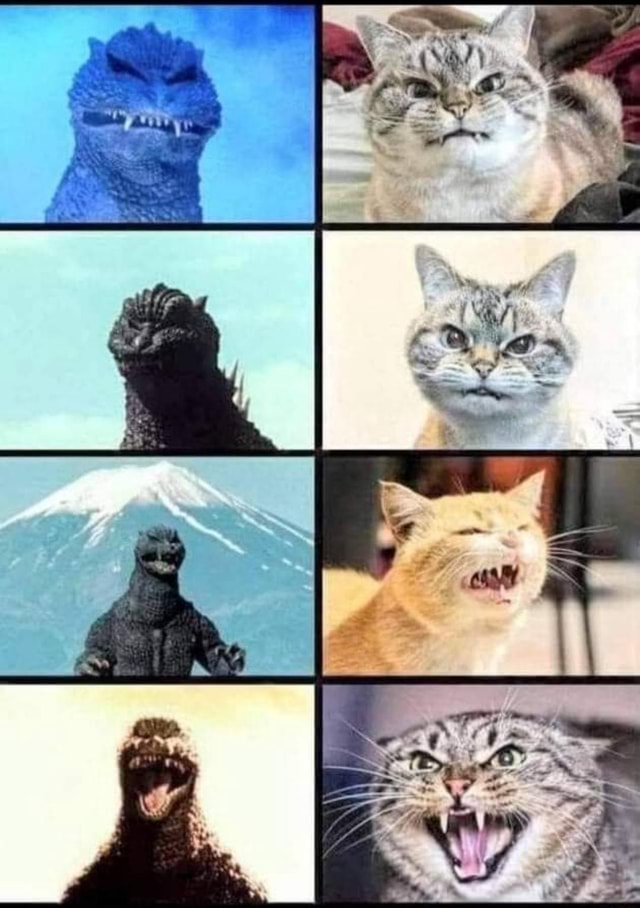 Godzilla vs. Catzilla - seo.title