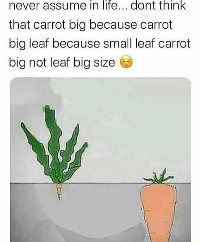 Never assume In life... dont think that carrot big because carrot big ...