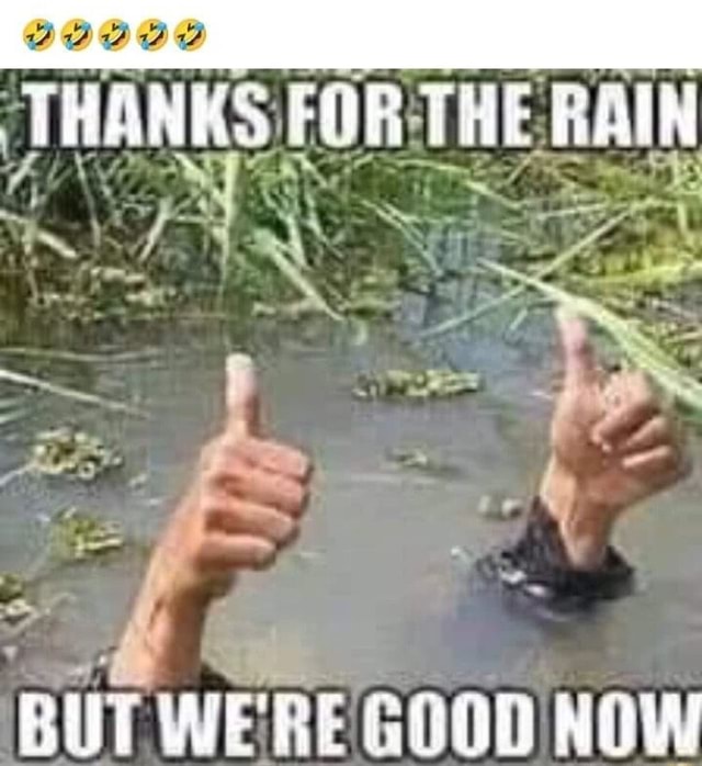 THANKS FOR THE RAIN BUT WE'RE GOOD NOW iFunny
