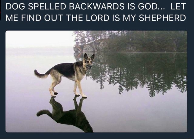 Dog Spelled Backwards Is God Let Me Find Out The Lord Is My Shepherd