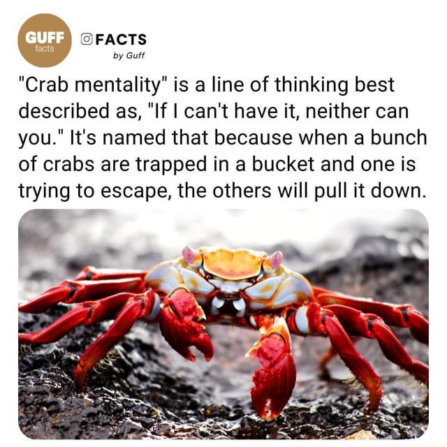 FACTS by Guff "Crab mentality" is a line of thinking best described as
