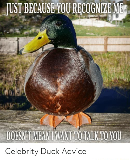 Celebrity Duck Advice - JUST BECAUSE YOU RECOGNIZE ME DOESN'T MEAN WANT ...