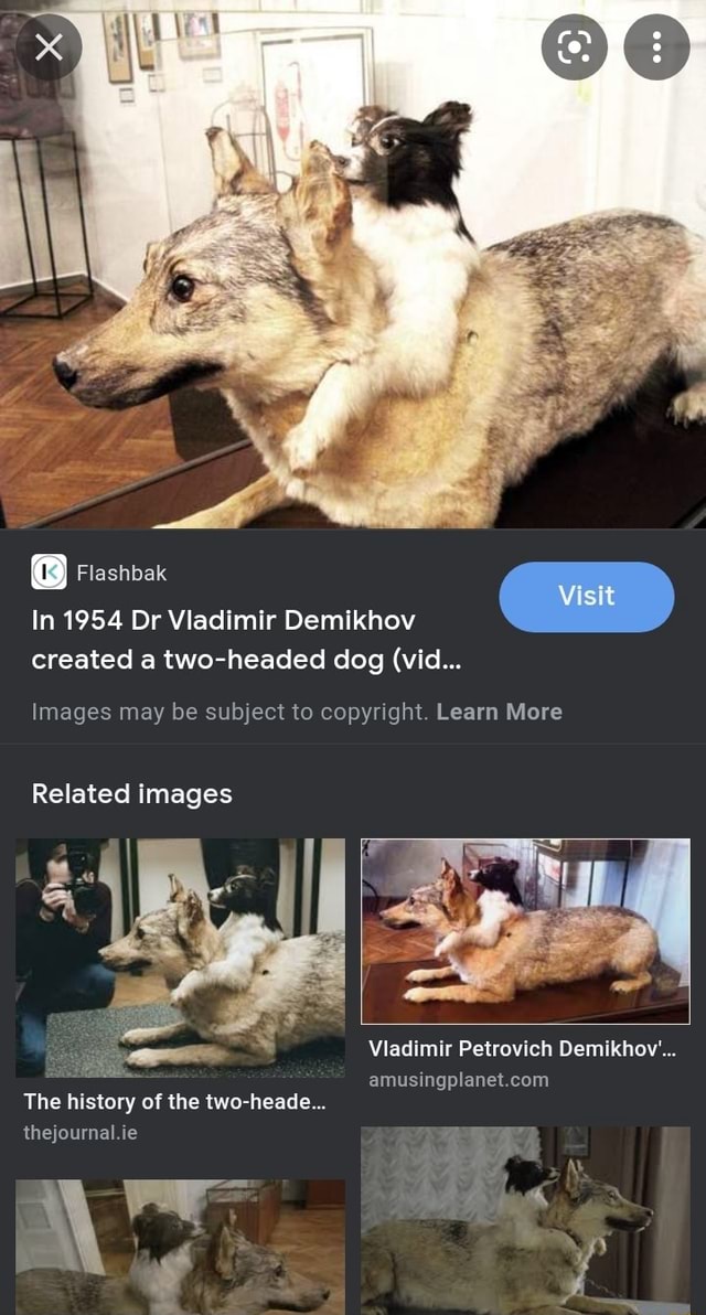 @ In Flashbak 1954 Dr Vladimir Demikhov Visit In 1954 Dr Viadimir ...