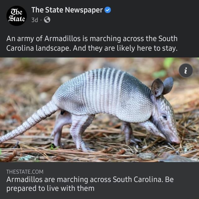 He The State Newspaper State An army of Armadillos is marching across