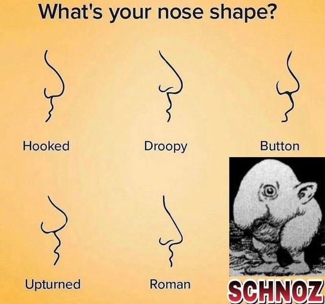 What's your nose shape? Hooked Droopy Button Upturned Roman iFunny