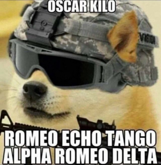 OSCAR KILO ROMED ECHO TANGO ALPHA ROMES DELTA - iFunny