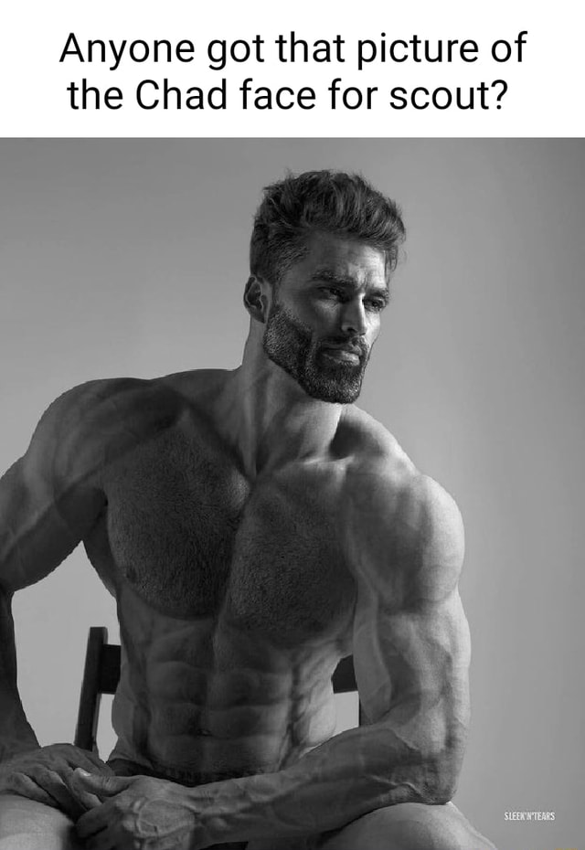 Anyone got that picture of the Chad face for scout? iFunny