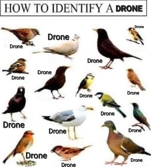 HOW TO IDENTIFY A DRONE hf ye - seo.title