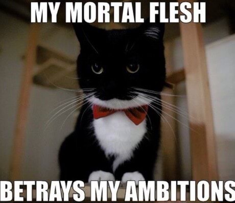 MY MORTAL FLESH BETRAYS MY AMBITIONS - iFunny