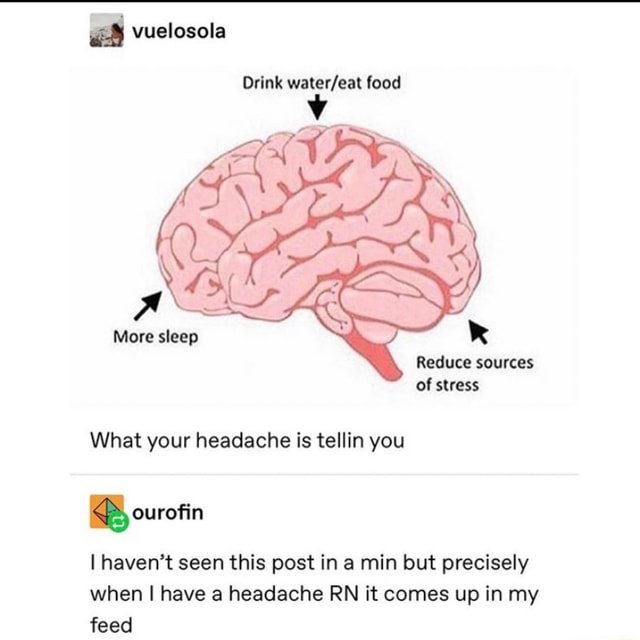 Drink Water Eat Food What Your Headache Is Tellin You I Haven T Seen This Post In A Min But Precisely When I Have A Headache Rn It Comes Up In My Feed