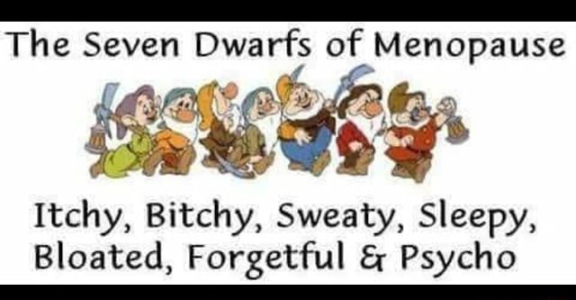 The Seven Dwarfs Of Menopause “and Itchy Bitchy Sweaty Sleepy Bloated Forgetful And Psycho 