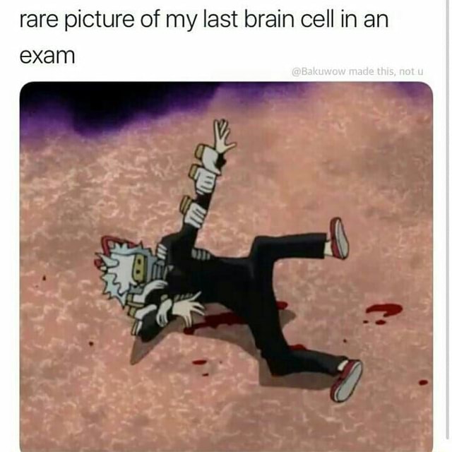 Rare picture of my last brain cell in an exam - iFunny
