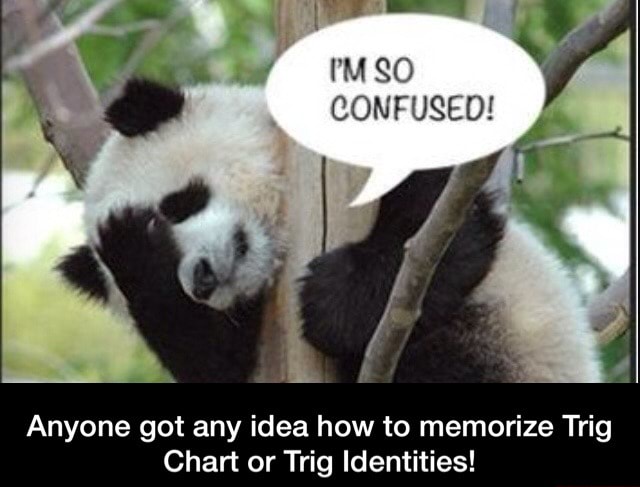 anyone-got-any-idea-how-to-memorize-trig-chart-or-trig-identities