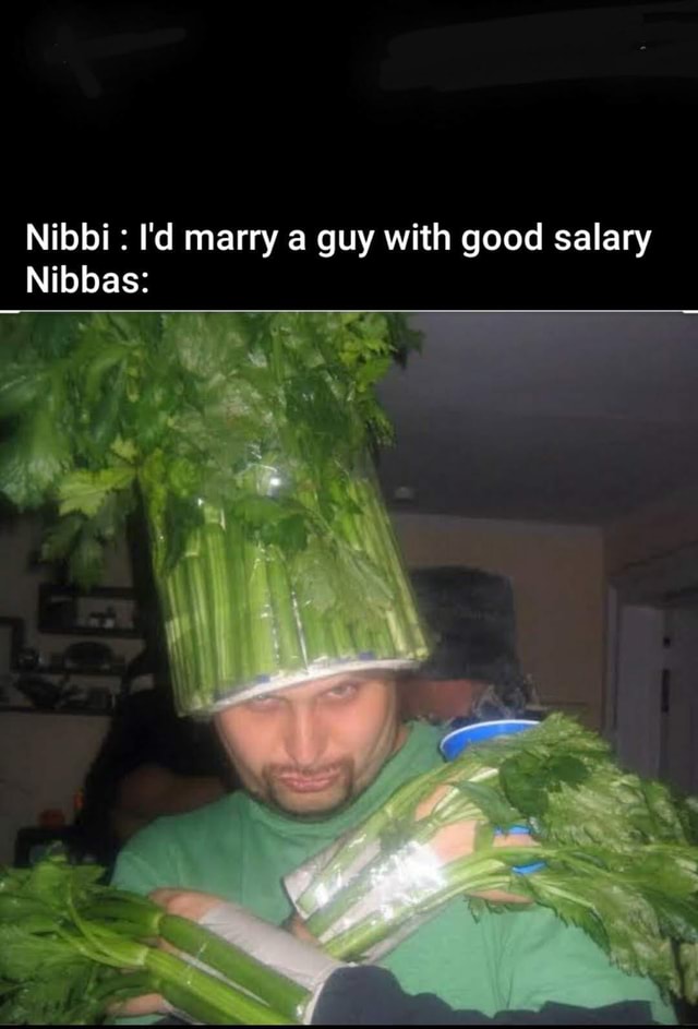 Are Nibbi Carbs Any Good