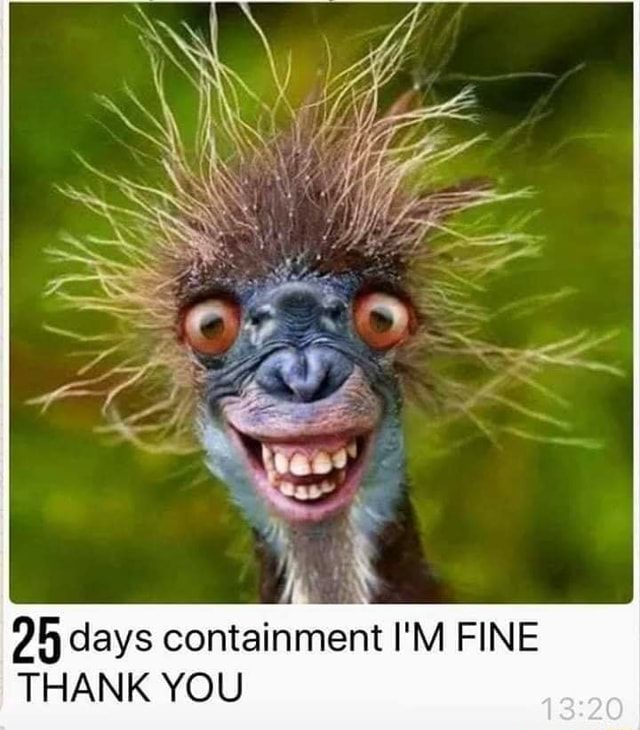 25 Days Containment I M Fine Thank You Ifunny
