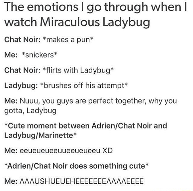 The Emotions I Go Through When I Watch Miraculous Ladybug Chat Noir Makes A Pun Me Snicker Chat Noir Flirts With Ladybug Ladybug Brushes Off His Attempt Me Nuuu You Guys Are