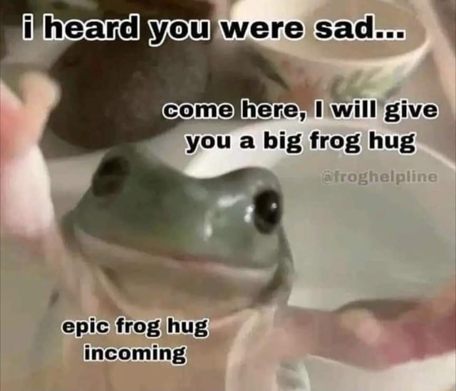 Were comejhere} will give you a big frog hug epic frog hug