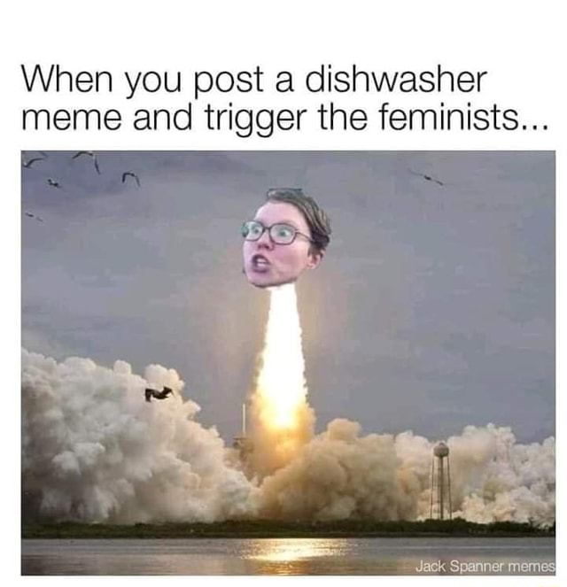 When you post a dishwasher meme and trigger the feminists... iFunny